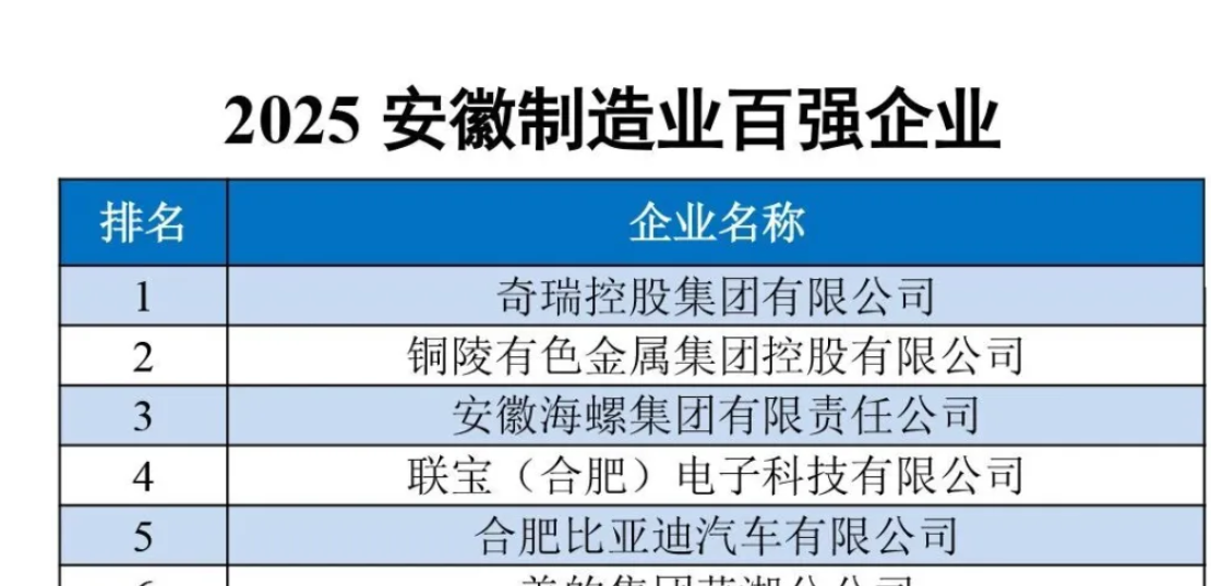2025 安徽百强企业——数字化转型网www.szhzxw.cn