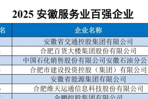2025安徽服务业百强企业——数字化转型网www.szhzxw.cn