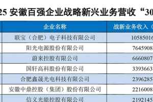 2025安徽服务业百强企业——数字化转型网www.szhzxw.cn