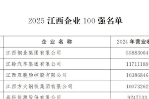 2025江西企业100强——数字化转型网www.szhzxw.cn