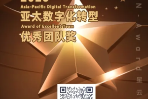 2025N-Award星云奖：亚太数字化转型优秀团队奖申报开启！——数字化转型网