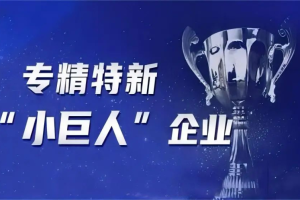 专精特新“小巨人”——数字化转型网www.szhzxw.cn