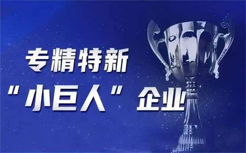 专精特新“小巨人”——数字化转型网www.szhzxw.cn