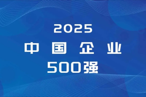 2025中国企业500强——数字化转型网www.szhzxw.cn