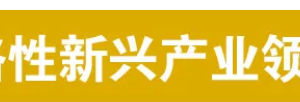 2025中国战略性新兴产业领军企业100强（全榜单）——数字化转型网www.szhzxw.cn