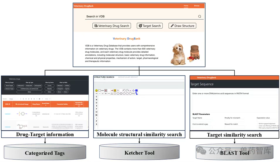 人工智能应用案例|Veterinary DrugBank：兽药数据库的构建与药物再利用-数字化转型网