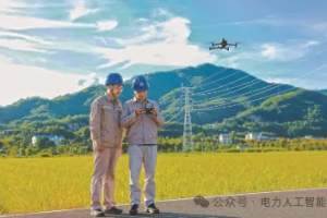 人工智能案例|国网福建电力：人工智能赋能电网智慧升级案例-数字化转型网