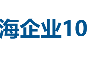 2025上海企业100强全榜单——数字化转型网