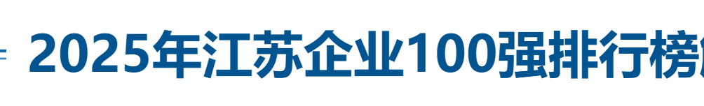 2025年江苏企业100强排行榜——数字化转型网