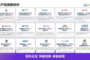 服务商资讯|喜讯！艺赛旗 iS-RPA V2024.1.0 入选上海市高新技术成果转化项目——数智化转型网