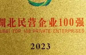 2023湖北民营企业制造业100强