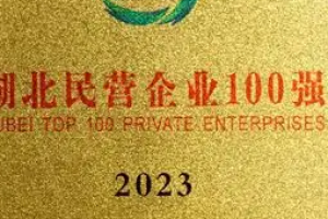 2023湖北民营企业制造业100强
