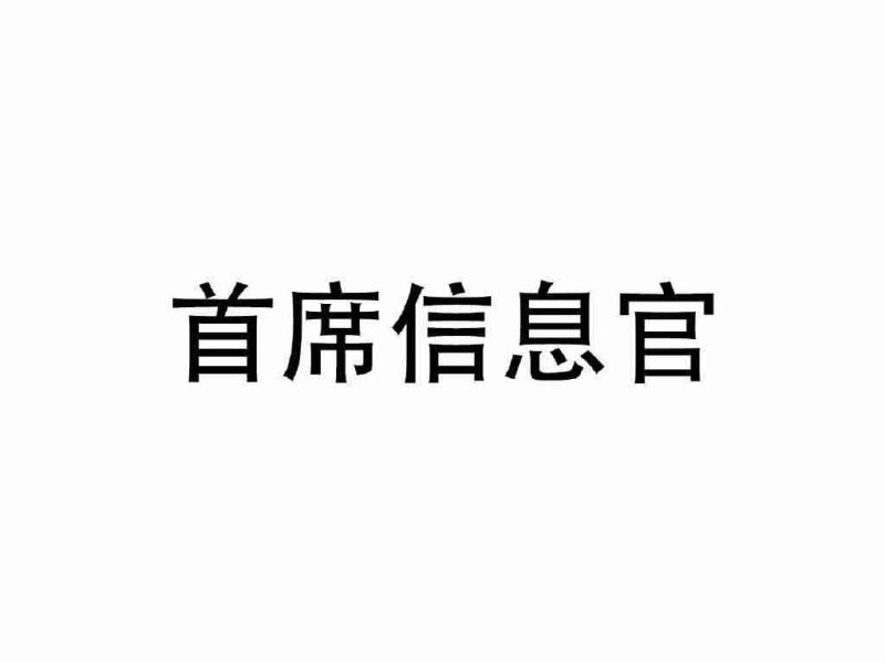 首席信息官（CIO）成长之路的4大特性与4个障碍