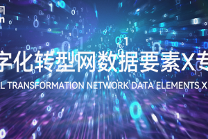 数字化转型网数据要素X专题