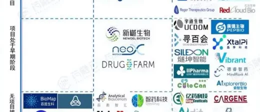 2023年中国人工智能芯片行业竞争格局-数字化转型网www.szhzxw.cn