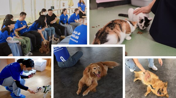 玛氏发布全球调查结果，83%的宠主认为宠物对心理健康有积极影响——数字化转型网（专业造就领导者）