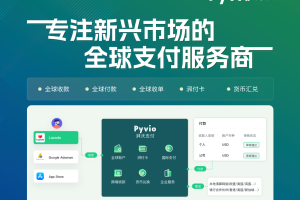 Pyvio湃沃：破局新兴市场支付壁垒 构建全球金融科技新生态—数字化转型网www.szhzxw.cn