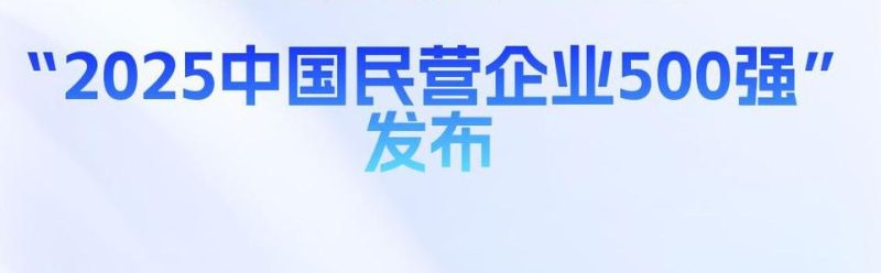 2025中国民营企业 500 强—数字化转型网www.szhzxw.cn