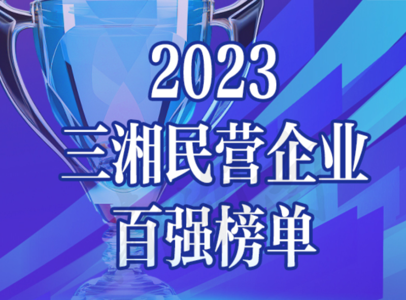 2023三湘民营企业100强—数字化转型网www.szhzxw.cn