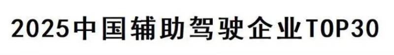 2025中国辅助驾驶企业TOP30—数字化转型网www.szhzxw.cn
