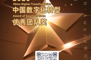 2025N-Award星云奖：中国数字化转型优秀团队奖——数字化转型网