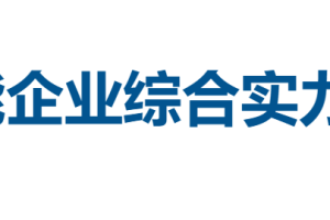 2025人工智能企业综合实力TOP100榜单——数字化转型网