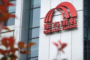 企业出海案例|东方雨虹出海启示录：从产品出口到生态扎根，14亿海外营收背后的全球化方法论——数智化转型网www.szhzxw.cn