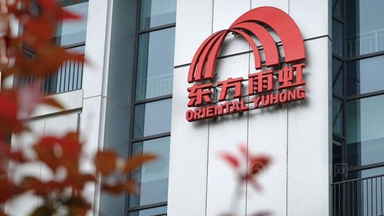 企业出海案例|东方雨虹出海启示录：从产品出口到生态扎根，14亿海外营收背后的全球化方法论——数智化转型网www.szhzxw.cn