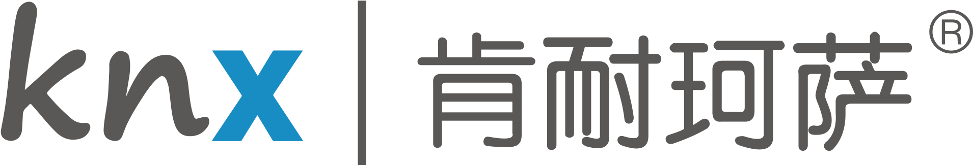 肯耐珂萨