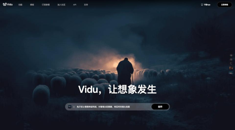 Vidu