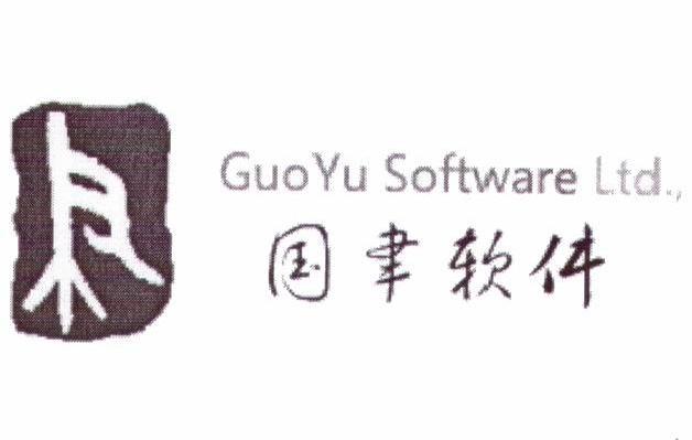 国聿软件