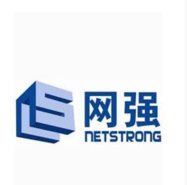 网强公司