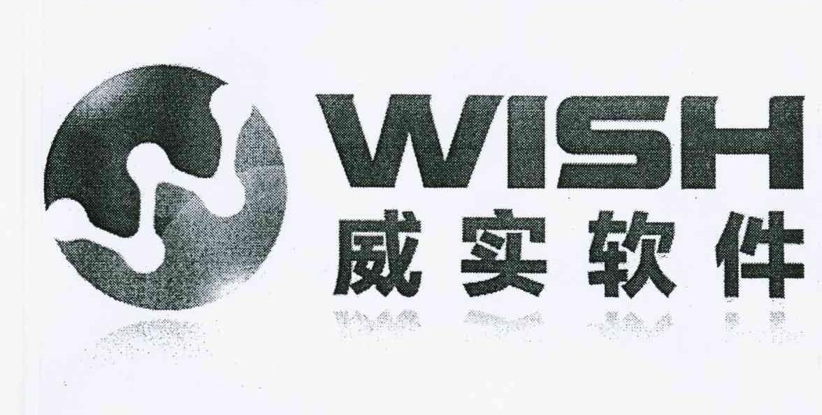 威实软件