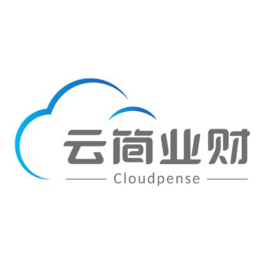 云简业财